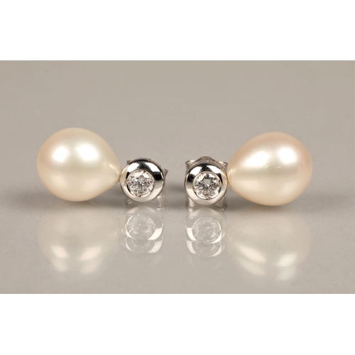 150 - Ladies 18ct white gold, pearl and diamond stud earrings, possibly South sea pearls, each diamond 0.2... 