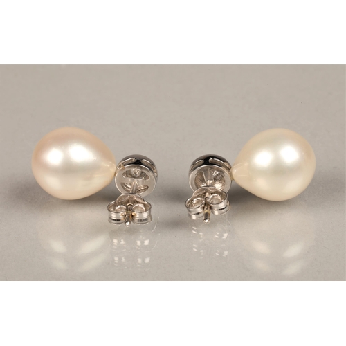 150 - Ladies 18ct white gold, pearl and diamond stud earrings, possibly South sea pearls, each diamond 0.2... 