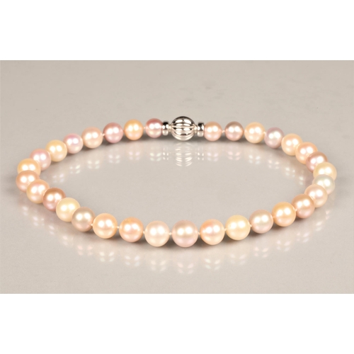 151 - Multi coloured South sea pearl necklace, thirty two pearls with an 18ct white gold clasp, each pearl... 