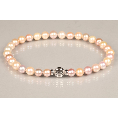 151 - Multi coloured South sea pearl necklace, thirty two pearls with an 18ct white gold clasp, each pearl... 