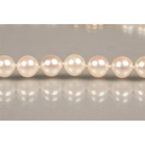 152 - Ladies pearl necklace with 14K yellow gold clasp, set with a small diamond, length 46cm