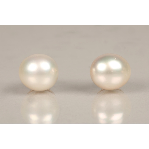 153 - Pair of 18ct yellow gold mounted pearl earrings. Probably South sea pearls, diameter 1.2cm