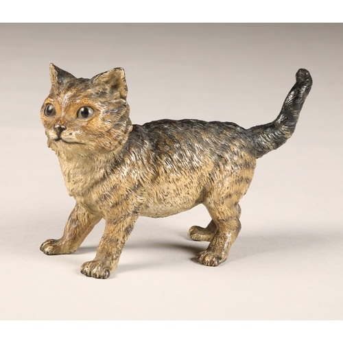 287 - Franz Bergman (Austrian 1898-1963) Cold painted bronze figure of a kitten, stamped Geschutzt, initia... 