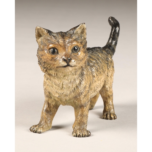 287 - Franz Bergman (Austrian 1898-1963) Cold painted bronze figure of a kitten, stamped Geschutzt, initia... 