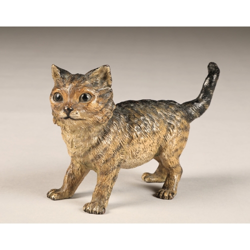 287 - Franz Bergman (Austrian 1898-1963) Cold painted bronze figure of a kitten, stamped Geschutzt, initia... 