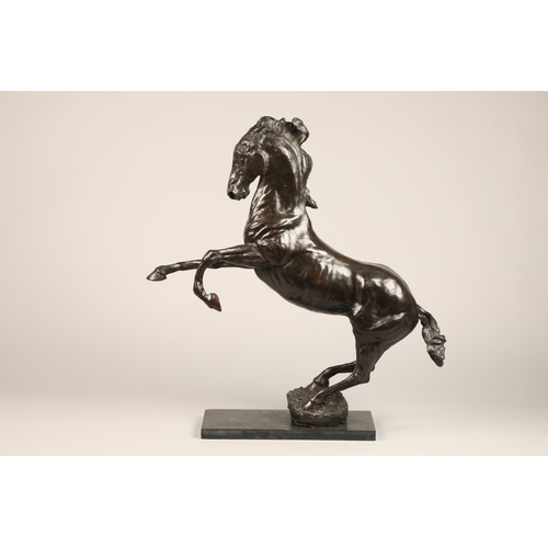 299 - Charlie Langton ARR Bronze sculpture, Rearing Stallion, height 73cm (excluding base)