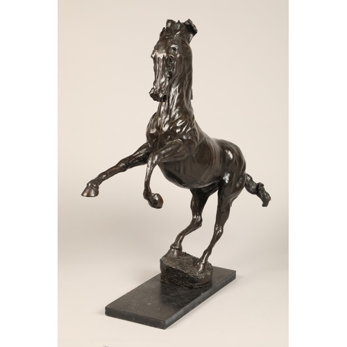 299 - Charlie Langton ARR Bronze sculpture, Rearing Stallion, height 73cm (excluding base)