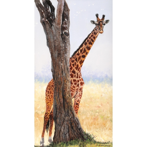 458 - Pip McGarry (British born 1955) ARR Framed oil on canvas, signed 'Giraffe' 46cm x 25cm