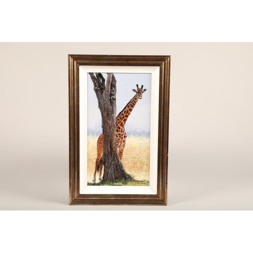 458 - Pip McGarry (British born 1955) ARR Framed oil on canvas, signed 'Giraffe' 46cm x 25cm