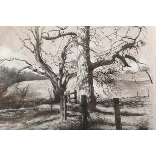 459 - Paul Reid (Scottish born 1975) ARR Framed mixed media, signed 'Trees by the Path at Penicuik House' ... 