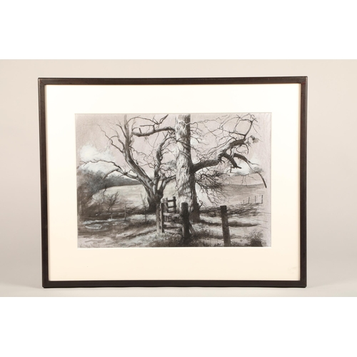 459 - Paul Reid (Scottish born 1975) ARR Framed mixed media, signed 'Trees by the Path at Penicuik House' ... 