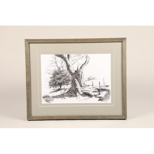 460 - Paul Reid (Scottish born 1975) ARR Framed acrylic and charcoal, signed, dated 2018 Farmland Tree 28c... 