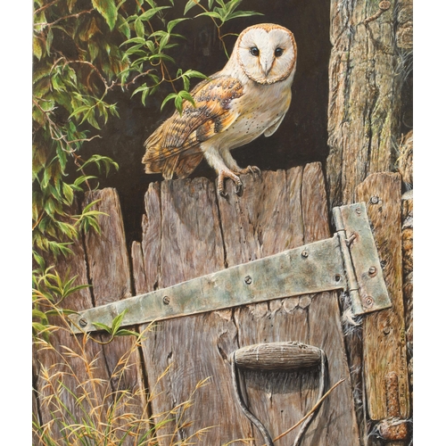 470 - Alan M Hunt (British born 1947) ARR Unframed oil on board, signed, dated 2021 'Barn Owl' 56cm x 48cm... 