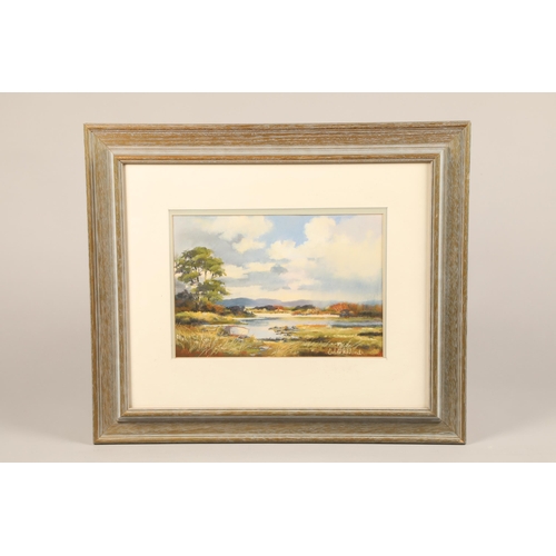 493 - Carl Strickland (Irish 20th century) ARR Pair framed pastels on paper, signed (i) Lough Gill, Co Sli... 