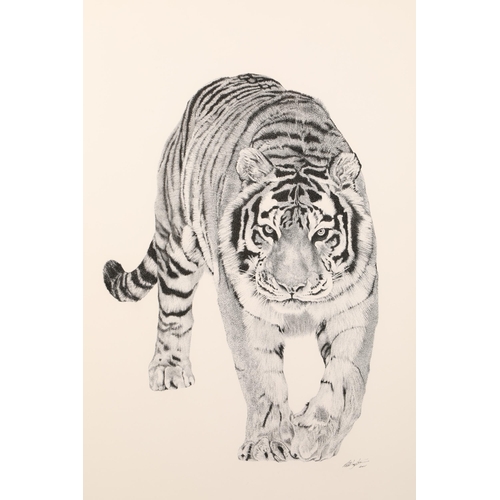 501 - Robert G Mayston ARR Framed pen and ink micro dot, signed, dated 2015 Prowling Tiger 64cm x 46cm... 