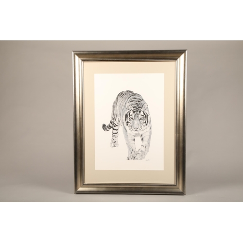 501 - Robert G Mayston ARR Framed pen and ink micro dot, signed, dated 2015 Prowling Tiger 64cm x 46cm... 