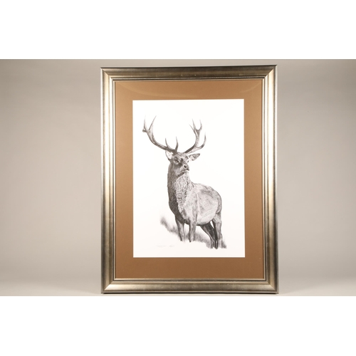 502 - Robert G Mayston ARR Framed pen and ink micro dot, signed, dated 2022 Coronation Monarch 80cm x 56cm... 