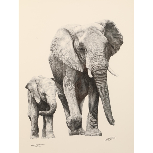 504 - Robert G Mayston ARR Framed pen and ink micro dot, signed, dated 2023 Mother and Calf Elephant 50cm ... 