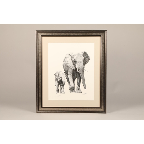 504 - Robert G Mayston ARR Framed pen and ink micro dot, signed, dated 2023 Mother and Calf Elephant 50cm ... 