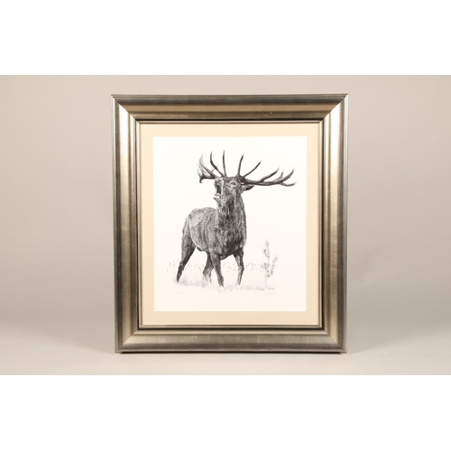 505 - Robert G Mayston ARR Framed pen and ink micro dot, signed, dated 2021 October Rut 47cm x 40cm... 