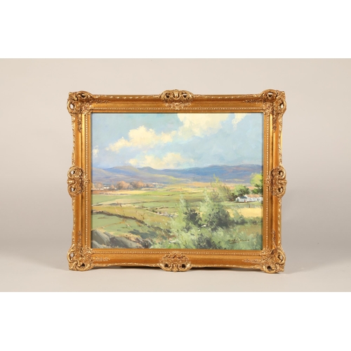 586 - George Kennedy Gillespie (Irish 1942-1995) ARR Gilt framed oil on canvas, signed lower right 'Near C... 