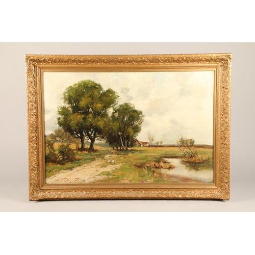 599 - James Taylor Brown (Scottish 1868 - 1923) Framed oil on canvas, signed 'Country Woodland Landscape W... 