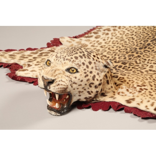 609 - Indian leopard skin, leopard of Panar, the leopard was reputed to kill over 30 people, length 208cm