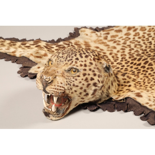 610 - Indian leopard skin, length 196cm