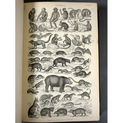 MACKENZIE WILLIAM (Pubs). The Museum of Natural History. 2