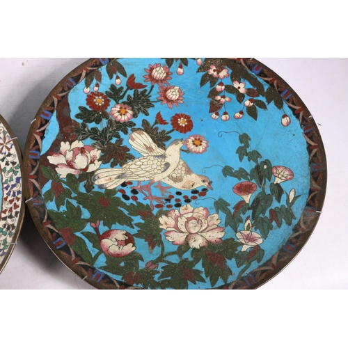 195 - Four Oriental cloisonné enamel wall chargers, each decorated with birds and flowers, 30cm diameter. ... 