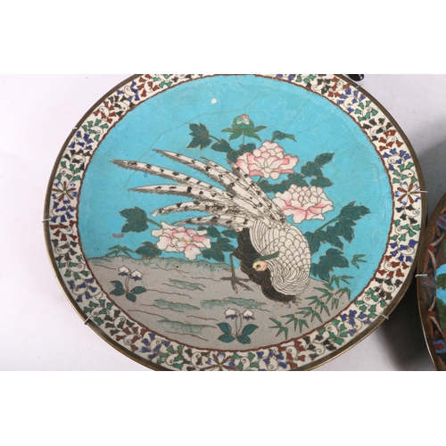 195 - Four Oriental cloisonné enamel wall chargers, each decorated with birds and flowers, 30cm diameter. ... 