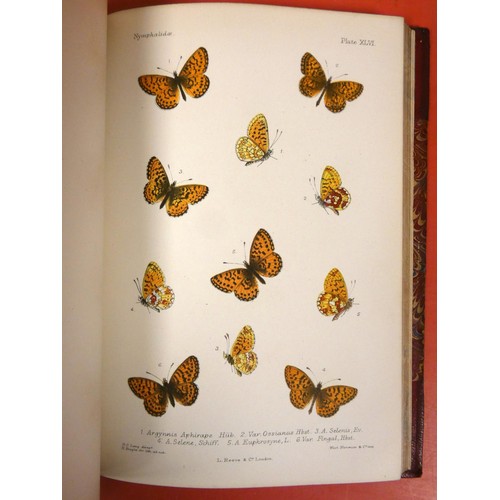 274 - LANG HENRY C.  The Butterflies of Europe. 2 vols. 82 nice multiple image col. plates, as c... 