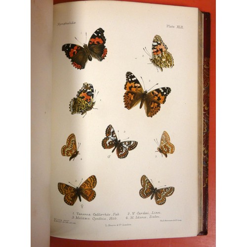 274 - LANG HENRY C.  The Butterflies of Europe. 2 vols. 82 nice multiple image col. plates, as c... 