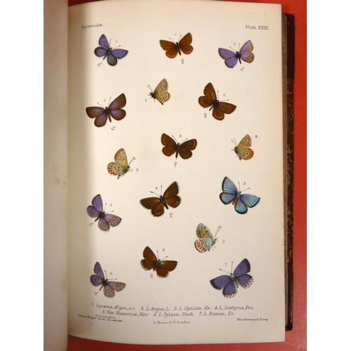 274 - LANG HENRY C.  The Butterflies of Europe. 2 vols. 82 nice multiple image col. plates, as c... 