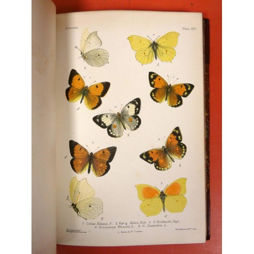 274 - LANG HENRY C.  The Butterflies of Europe. 2 vols. 82 nice multiple image col. plates, as c... 