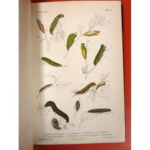 274 - LANG HENRY C.  The Butterflies of Europe. 2 vols. 82 nice multiple image col. plates, as c... 