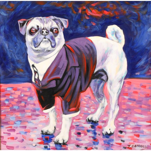 515 - J Harrold Framed oil on board, signed 'Pug' 60cm x 60cm