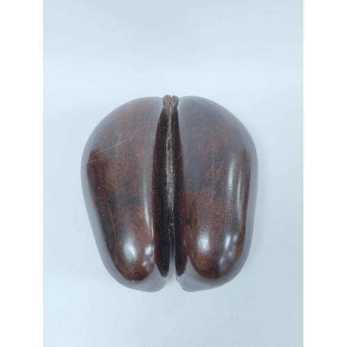 175 - Polished coco-de-mer nut (Lodoicea Maldivicia) approximately 40cm wide.