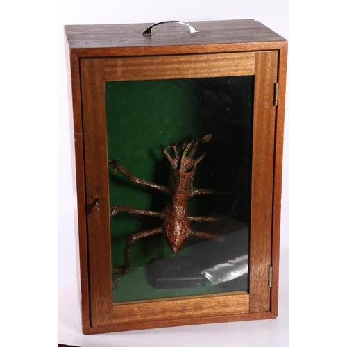 90 - Alien model in mahogany glazed display case, case measures 50cm.