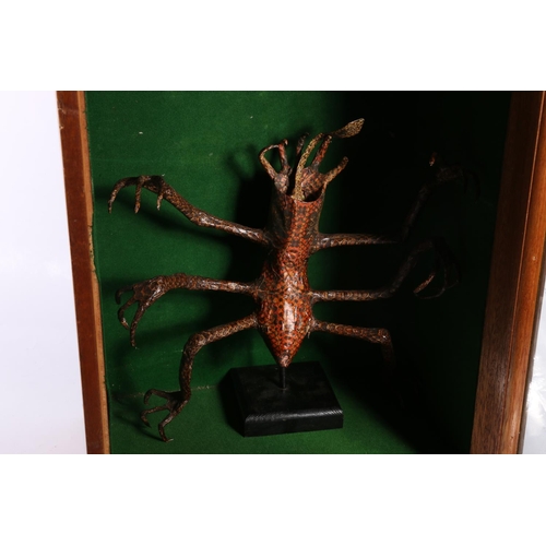 90 - Alien model in mahogany glazed display case, case measures 50cm.