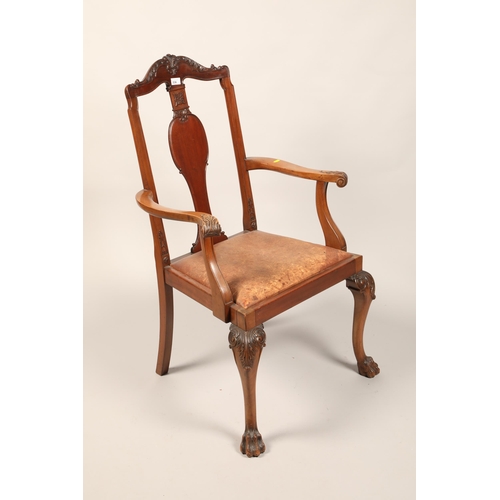 536 - Four mahogany dining chairs (including two carvers)