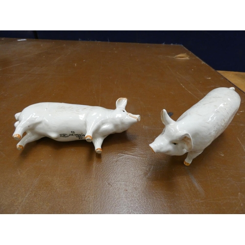 148 - Two large Beswick pig figures by Ch.Wall Champion Boy 1953.