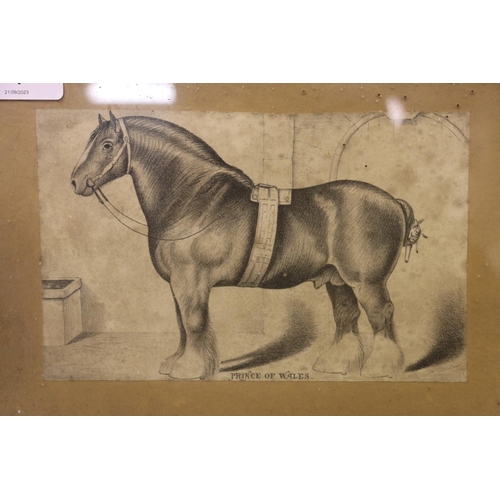 4 - Framed display of six equestrian interest prints by E Mitchell, 48cm x 48cm, along with a framed pri... 