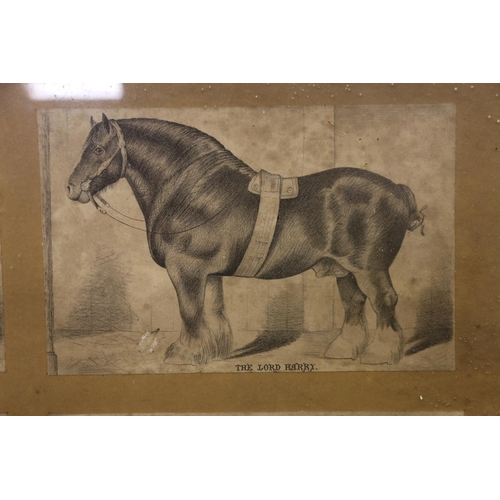 4 - Framed display of six equestrian interest prints by E Mitchell, 48cm x 48cm, along with a framed pri... 