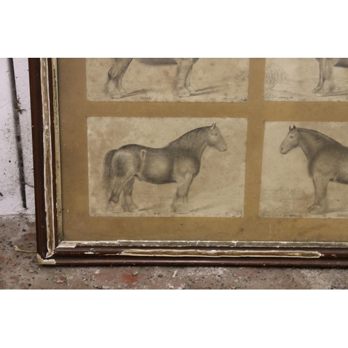 4 - Framed display of six equestrian interest prints by E Mitchell, 48cm x 48cm, along with a framed pri... 