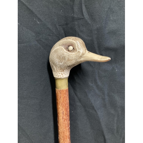 321 - Walking stick with finely carved bone duck head, 90cm.