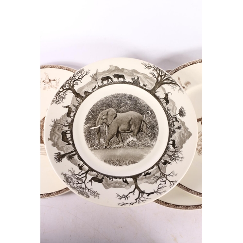 22 - Five Wedgwood plates depicting hunting dogs, 27cm diameter, and another of an elephant in Kruger Nat... 