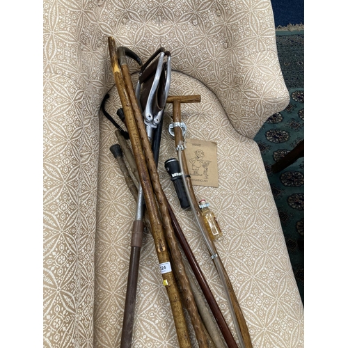 324 - Group of walking sticks including the Wizard Walking Aid, and a shooting seat.