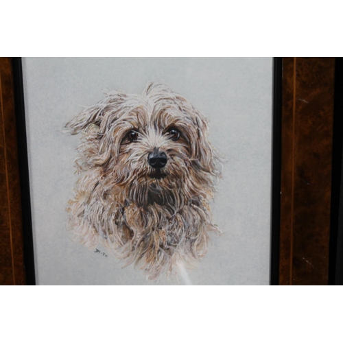 422 - 20TH CENTURY SCHOOL, portrait of a dog, oil painting, signed with initials 'DY' and dated '90 lower ... 