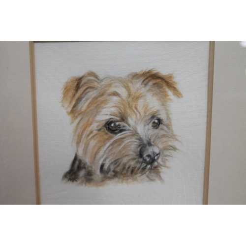 422 - 20TH CENTURY SCHOOL, portrait of a dog, oil painting, signed with initials 'DY' and dated '90 lower ... 